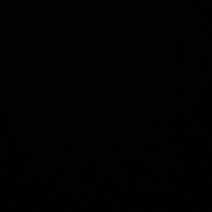 Meet your Posher, Delaney